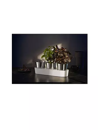 WMF | Set de jardín de hierbas aromáticas Gourmet para interiores, 3 piezas, Cromargan / Blanco |